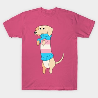 Dachshund Pride - Trans Flag T-Shirt